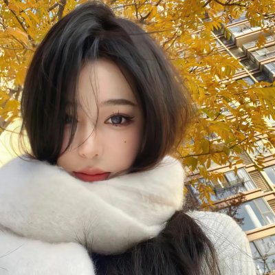 克努特和他的朋友们