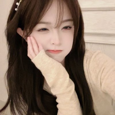 总统的夫人